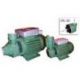 BOMBA PE 60 T