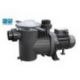 WINNER 300 T 60 HZ (SACI)