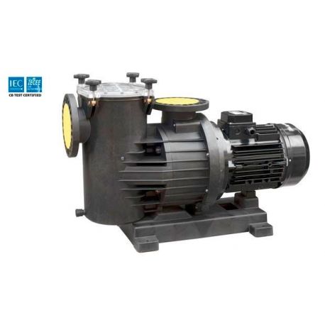 IE3 MAGNUS-2 1250 60HZ (230/400V.ESP.) (BRONCE) S