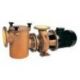 IE3 BR-2 300 -BRONCE-